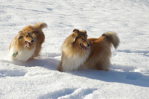 Fotos f. Homepage Galerie 040